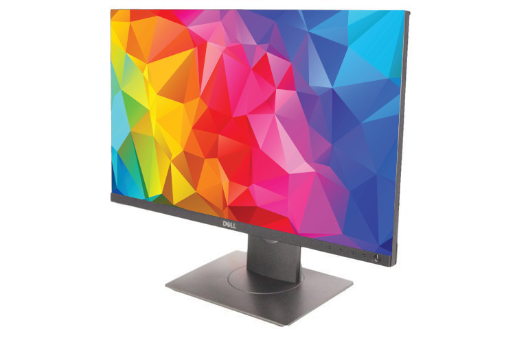 Monitor Dell P2418D 24" LED 2560x1440 IPS HDMI DisplayPort Czarny